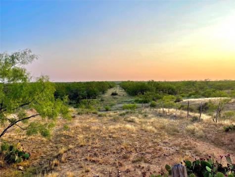 1000 Creek 116 Ballinger TX 76821
