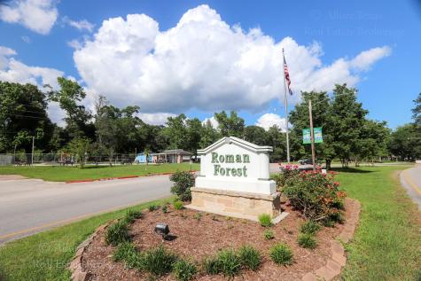 Lot 1-2 Appian Way Roman Forest TX 77357