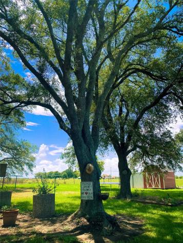 3119 Cr 289 East Bernard TX 77435