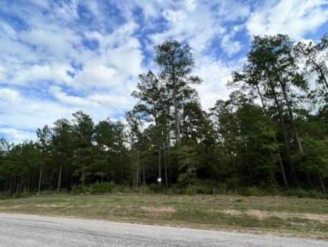 180 Remington Road Huntsville TX 77340