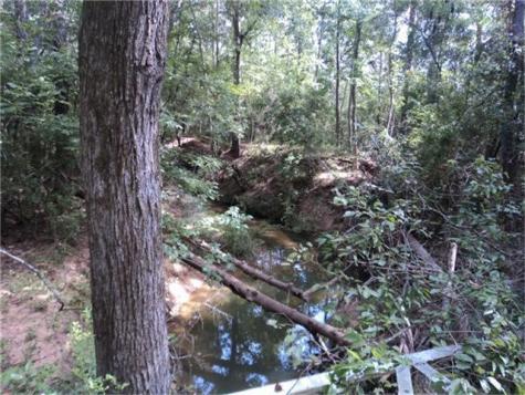 29924 Nichols Sawmills Magnolia TX 77375