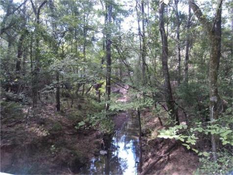 29924 Nichols Sawmills Magnolia TX 77375