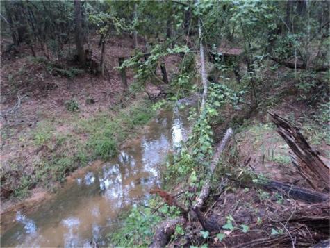 29924 Nichols Sawmills Magnolia TX 77375